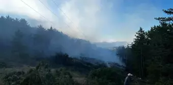 Kastamonu'da Yüksek Gerilim Hattından Kaynaklanan Yangın Kontrol Altına Alındı