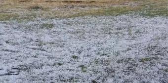 Ağrı'da etkili olan dolu tarım arazilerine zarar verdi