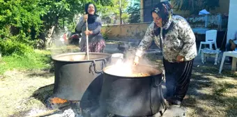 Çemişgezek'te Dut Üretimi ve Pekmez Üretimi