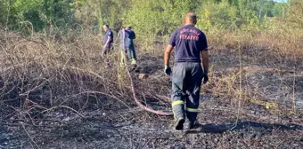 Kartepe'de çıkan yangın kontrol altına alındı