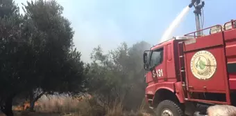 Manavgat'ta çöplük yangını tarım arazilerine zarar verdi