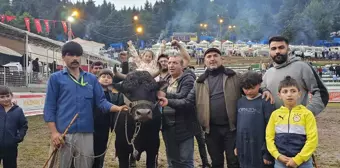 Artvin'de düzenlenen 43. Kafkasör Kültür, Turizm ve Sanat Festivali'nde Boğa Güreşleri