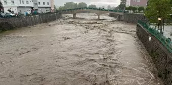 Samsun'da Şiddetli Yağışlar Tarım Arazi ve İş Yerlerini Vurdu