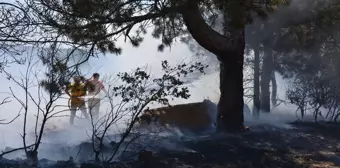 Uşak'ın Banaz ilçesinde arazi yangını