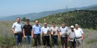 Orhaneli'de Lavanta Hasadı Gerçekleşti