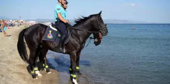 Ayvalık'ta Atlı Jandarma Birliği Göreve Başladı