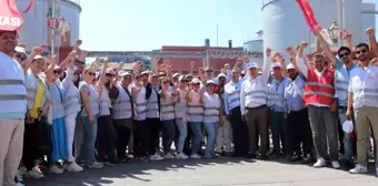 İzmir'deki Zeytinyağı Fabrikasında İşçilerin Grevi 31. Gününde