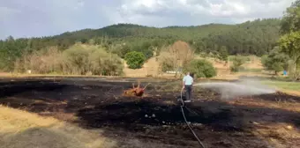 Emet'te Mangal Ateşiyle Çıkan Yangında 2 Dönüm Ekili Alan Zarar Gördü