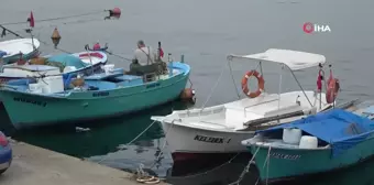 Yeni av sezon öncesinde palamudun görüntü vermesi balıkçıları umutlandırdı