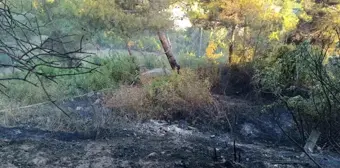 Hatay'da otluk alanda çıkan yangında traktör zarar gördü