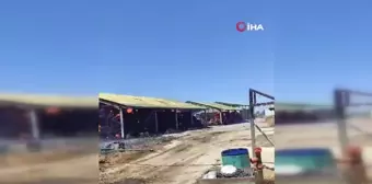 Hayvan çiftliğindeki saman yangını korkuttu