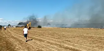 Tekirdağ'ın Saray ilçesinde anız yangını çıktı