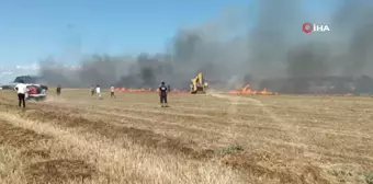 Tekirdağ'da anız yangını