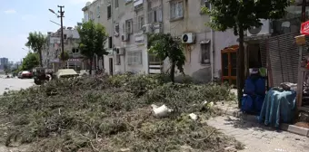 Adana'da fırtınada ağaç çocuğun yakınına devrildi