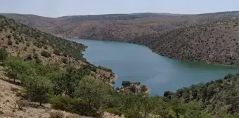 Kırıkkale'de Karaahmetli köyünde sürek avı düzenlendi