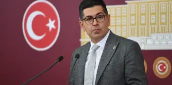 CHP Milletvekili, sokak hayvanlarına ötanazi uygulamasını eleştirdi