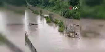 Kanada'da rekor yağışlar sonucu sokaklar ve evler sular altında kaldı