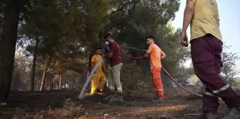 Balıkesir'deki Orman Yangını Kontrol Altına Alınmaya Çalışılıyor