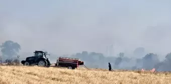 Edirne'de çıkan anız yangını söndürüldü