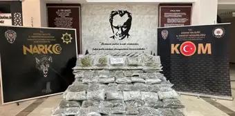 Hamzabeyli Sınır Kapısı'nda 266 kilo 489 gram skunk ele geçirildi, sürücü tutuklandı