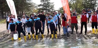 Damsa Barajı'na 350 Bin Yavru Sazan Balığı Bırakıldı