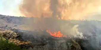 Tekirdağ'ın Şarköy ilçesinde yangın çıktı