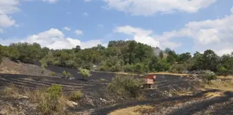 Amasya'da buğday ekili arazide yangın çıktı