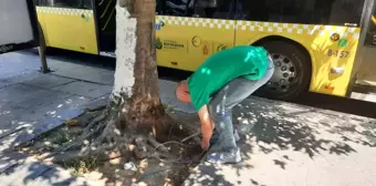 İstanbul Fatih'te Açıkta Bulunan Elektrik Kabloları Tedirginlik Yarattı