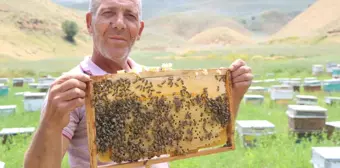 Bodrumlu Arıcı Yüksekova'da Bal Hasadına Hazırlanıyor