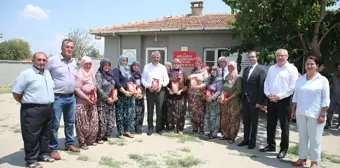 Edirne'de Kadın Girişimciler Tarafından Üretilen Yer Fıstığı Türkiye'ye Yayılıyor