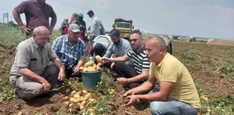 Afyonkarahisar Sandıklı'da Patates Hasadı Başladı