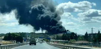 Tekirdağ'ın Ergene ilçesinde otluk alan ve çöp yangını