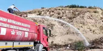 Arsuz'da çöplük alanda çıkan yangın söndürüldü