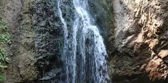 Karabük'teki Baklabostan Tabiat Parkı Tatilcilerin İlgi Odağı