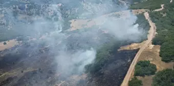 Bingöl'ün Genç ile Kiğı ilçelerinde çıkan orman yangınları söndürüldü