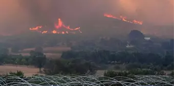 4 ilde orman yangını! Alevlerin yaklaştığı ev ve iş yerleri tahliye edildi