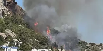 Bodrum'da Makilik ve Otluk Alanda Yangın