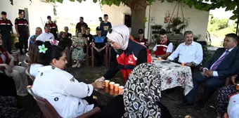 Osmaniye'de Kapalı Alanda Yetiştirilen Güller Hasat Edildi