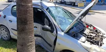 Manavgat'ta Otomobilin Palmiyeye Çarpması Sonucu 2 Kişi Yaralandı