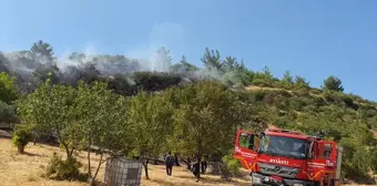 Manisa'da çıkan yangında 3 hektar tarım arazisi zarar gördü