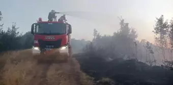 Bingöl'ün Genç ilçesinde orman yangını çıktı