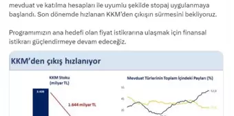 Hazine ve Maliye Bakanı Mehmet Şimşek: Kur Korumalı Mevduat Stoku Azaldı