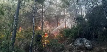 Mersin'de Orman Yangını Kontrol Altına Alındı