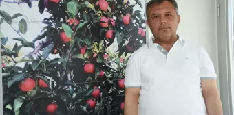 Niğde'den 15 ülkeye elma ihracatı