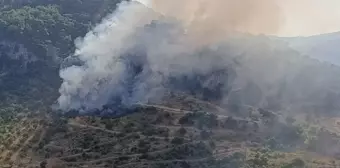 Çanakkale'de Orman Yangınına Havadan ve Karadan Müdahale