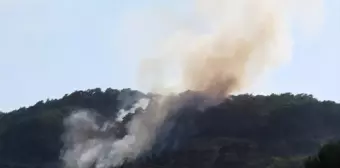 Çanakkale'de Orman Yangınına Havadan ve Karadan Müdahale