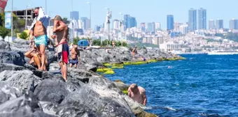 İstanbul'da Sıcak Havada Serinlemek İçin Sahil ve Parklar Tercih Edildi