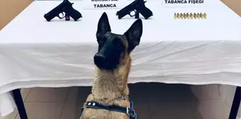 Çorum Alaca'da Jandarma Bomba Arama Köpeği İle Silah Ele Geçirildi