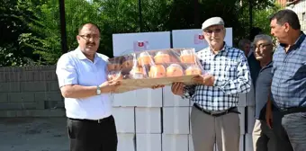 Denizli'de Ayvada Kalıntı Eylem Planı Uygulaması Başladı