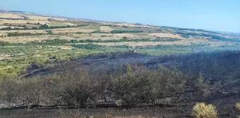 Edirne'de çıkan orman yangını söndürüldü